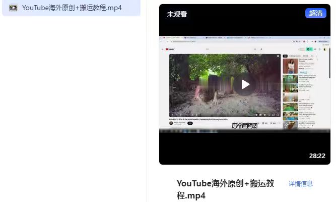 YouTube最新赚钱攻略，手把手教学，可原创可搬运